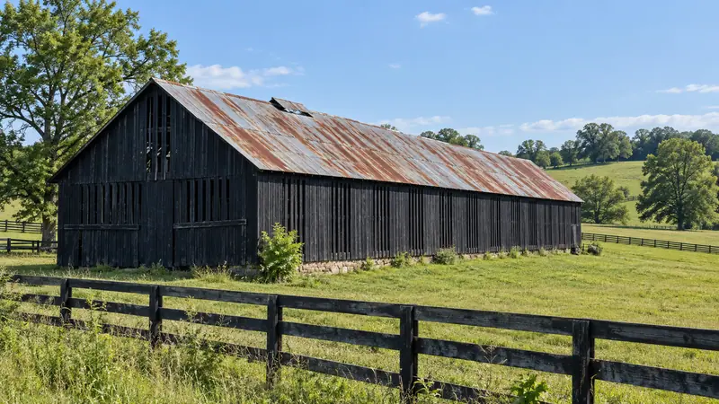 Rusted panels and laps on an older metal farm building roof